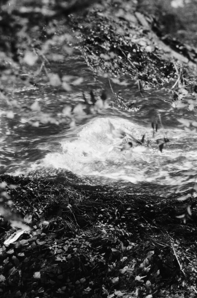 10 Personales Custom